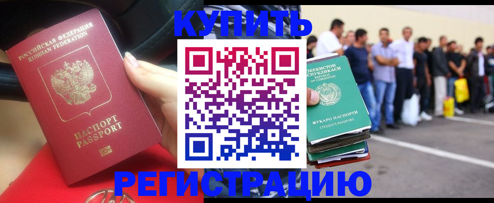 где прописаться в Мончегорске